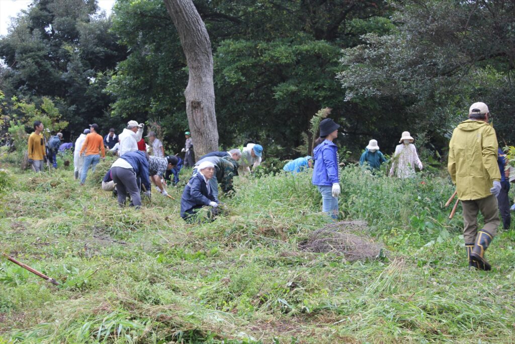 境内の草刈り作業